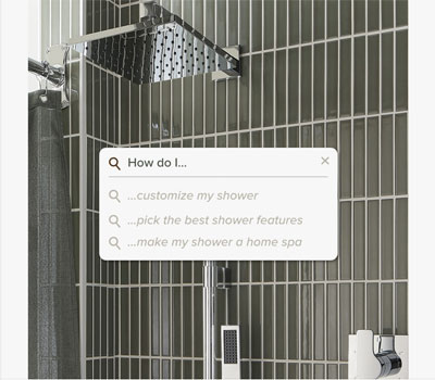 Hibiscus Shower System